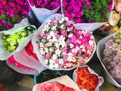 -桂林市花鸟市场