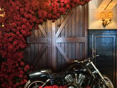 -碧特博格啤酒花园餐厅(芜湖路店)