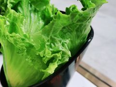 生菜-八乔煎肉馆·丹东特色煎锅(梅林店)
