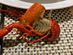 -佳源四季酒店-雅悦自助餐厅(新洲路店)