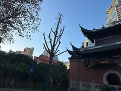 -上海白云观