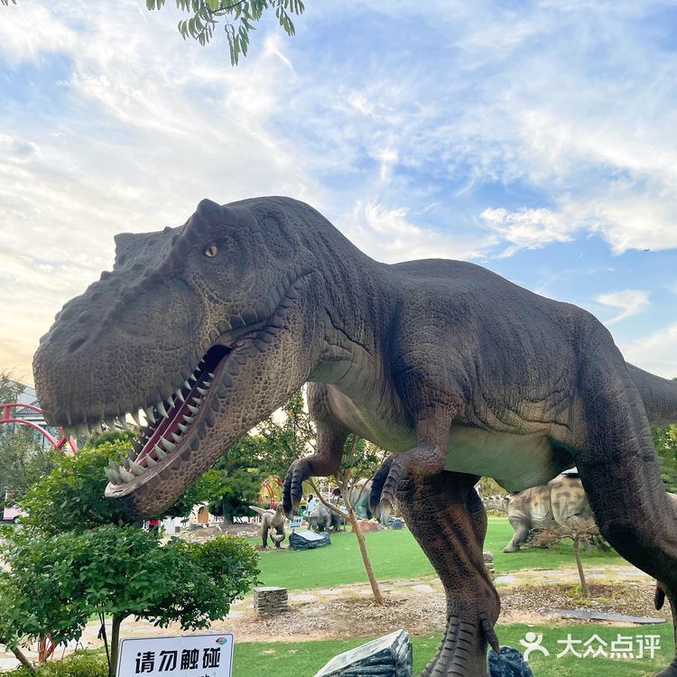 🌸上海奇迹花园🌸仙女出片地