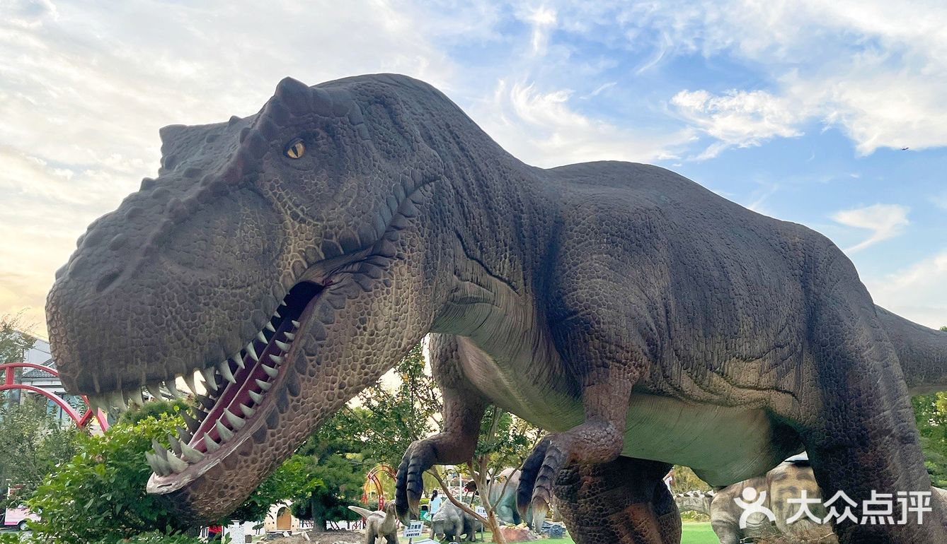 🌸上海奇迹花园🌸仙女出片地