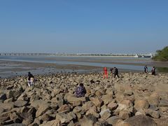 -宝安西湾红树林湿地公园