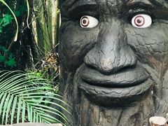 -海南热带野生动植物园