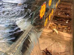 -山海经·海边人家 海鲜新青岛菜(扬州路店)