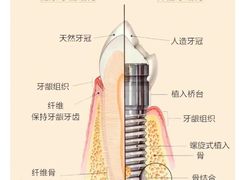 -深圳富茂格伦菲尔口腔门诊部(龙华清湖总院)