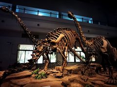 -自贡恐龙博物馆