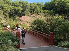 -云溪植物园