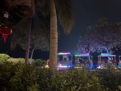-渔家火锅·海鲜自助餐·演艺(亚龙湾天域酒店)