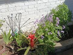 -老绥元烧麦·家常菜(桥华店)