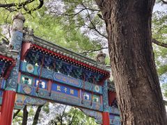 -北京国子监胡同