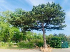-北陵公园