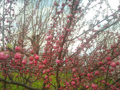 -北京宽沟会议中心