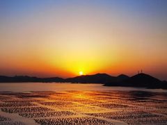 -枸杞岛