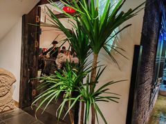 -院8里·小聚园(九眼桥店)