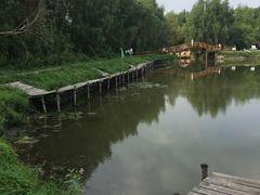 -白渔泡湿地公园