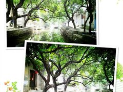 -小洲村