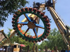 -朝阳公园游乐园