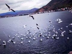 -丽江泸沽湖景区-里格半岛