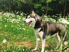 -白鹭湾湿地公园