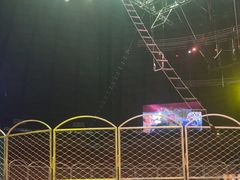 -俄罗斯国家大马戏团