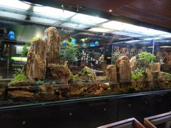 -泰谷酒店·太古码头闽菜自助餐厅