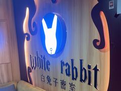 -白兔子密室(长寿路店)