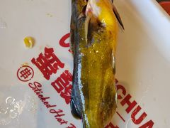 黄辣丁-永發發串串火锅馆·烧烤·大排档(传媒大学店)