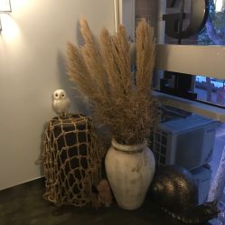 -苗方清颜·祛痘皮肤管理