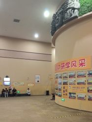 -疯狂的麦咭(长沙店)