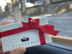 -BLACKSWAN黑天鹅(环球店)