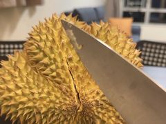 -油麻地果栏