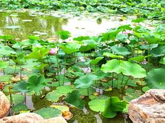-长春世界雕塑园冰雪艺术天地