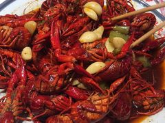 -杨氏青龙虾·羊蝎子(托乐嘉店)