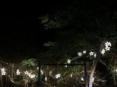 -东澳岛