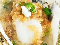 -蚝专家