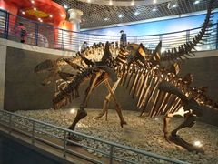 -国家自然博物馆