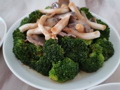 -好孕妈妈月嫂(重庆总店)