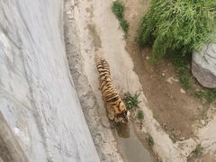 -泉城欧乐堡梦幻世界