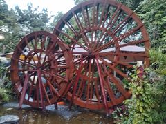 -品德宏·孔雀宴的发源地(金塔园店)