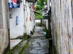 -祁门牯牛降观音堂风景区