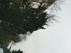 -南郊宾馆·风味自助餐厅·山东十六地市特色菜