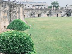 -石炮台公园