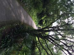 -窦圌山风景区