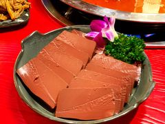 -谭鸭血老火锅(漳州路店)