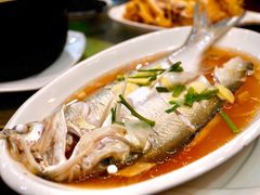 清蒸白鱼-观桥阁(锦溪店)