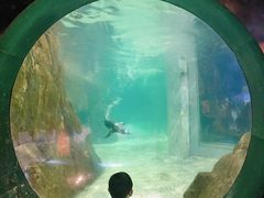 -成都浩海立方海洋公园