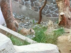 -青藏高原野生动物园