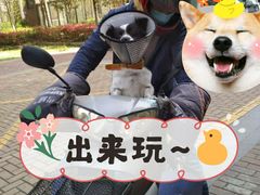 -凯瑞希宠物医院·狂犬免疫·微创·皮肤科